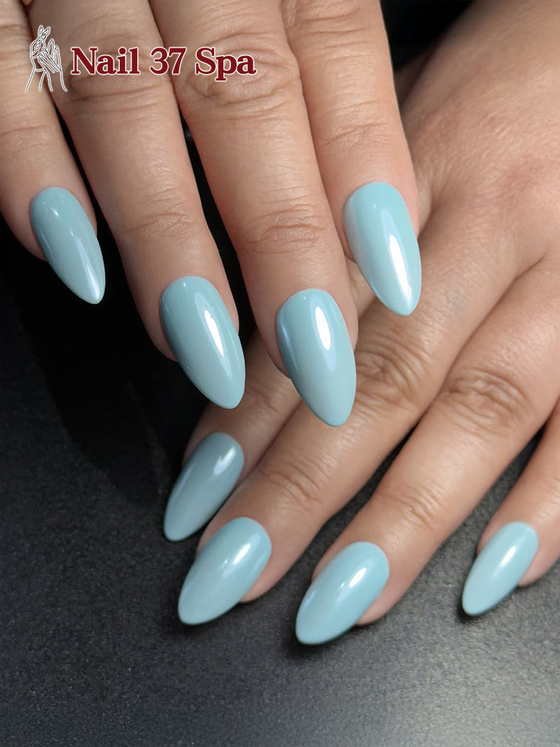 Nail 37 Spa