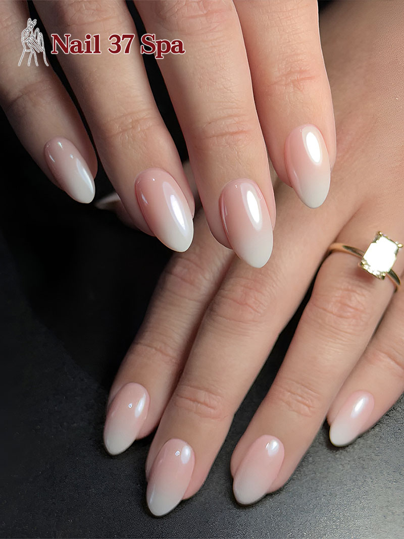 Nail 37 Spa