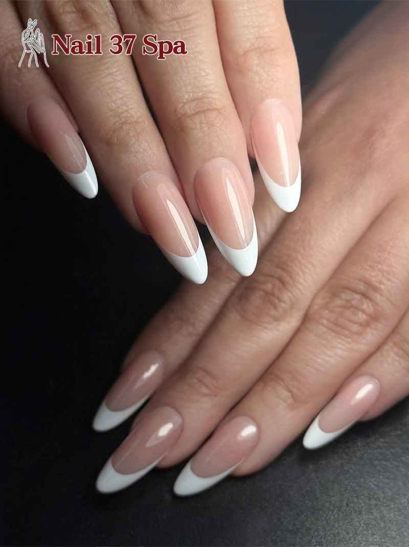 Nail 37 Spa